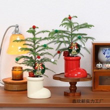 圣诞树南洋杉北欧风室内客厅办公室摆件节日绿植送人礼物植物盆栽