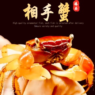 �^�pз�tз����з����з�~��з���w�з���з�ؔ�з�������b���l