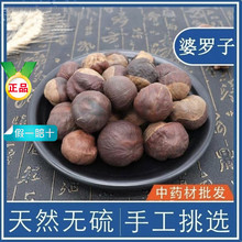 中药材 娑罗子 梭罗子 婆罗子 桫椤果 梭罗果 梭罗果片 500克