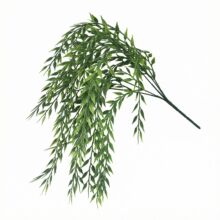 �̿��������֦���l�ٴ������ϾGֲ���~ֲ���ٗl�ٻ��ڒ����b�