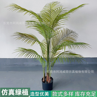 GֲɢβСͿɢβPβÿGֲ쾰