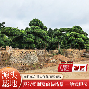 �|�������M���_�h���辰ͥԺ���^�Gֲ�^�~ֲ���ļ��������