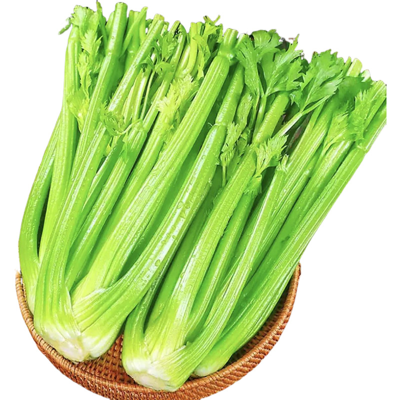 山东水果西芹农家芹菜新鲜西芹包邮当季水果西芹一件代发