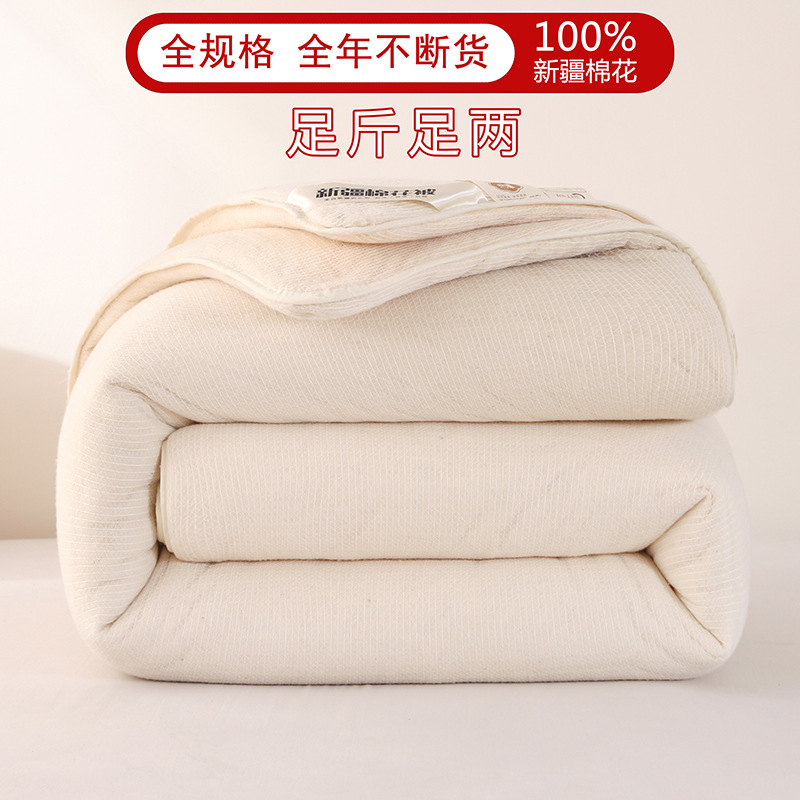 2025 New Xinjiang Ecological Cotton Fish Scale Mesh Cotton Wool Single Bed Cushion Quilt for Student Dormitory Quilt Core