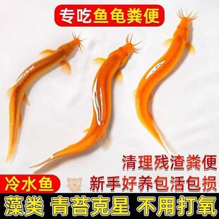 �S�����q�~�r���坍�~�������S����ˮ��ˮ�^�p�~С���q�ԼS����~