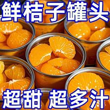 橘子水果罐头当季新鲜橘子罐头桔子开罐即食整箱装批发