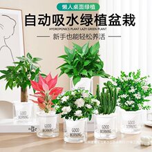 �lؔ��G�}��荻�������С�Gֲˮ����B�k���҃ȶ���ֲ������՚�