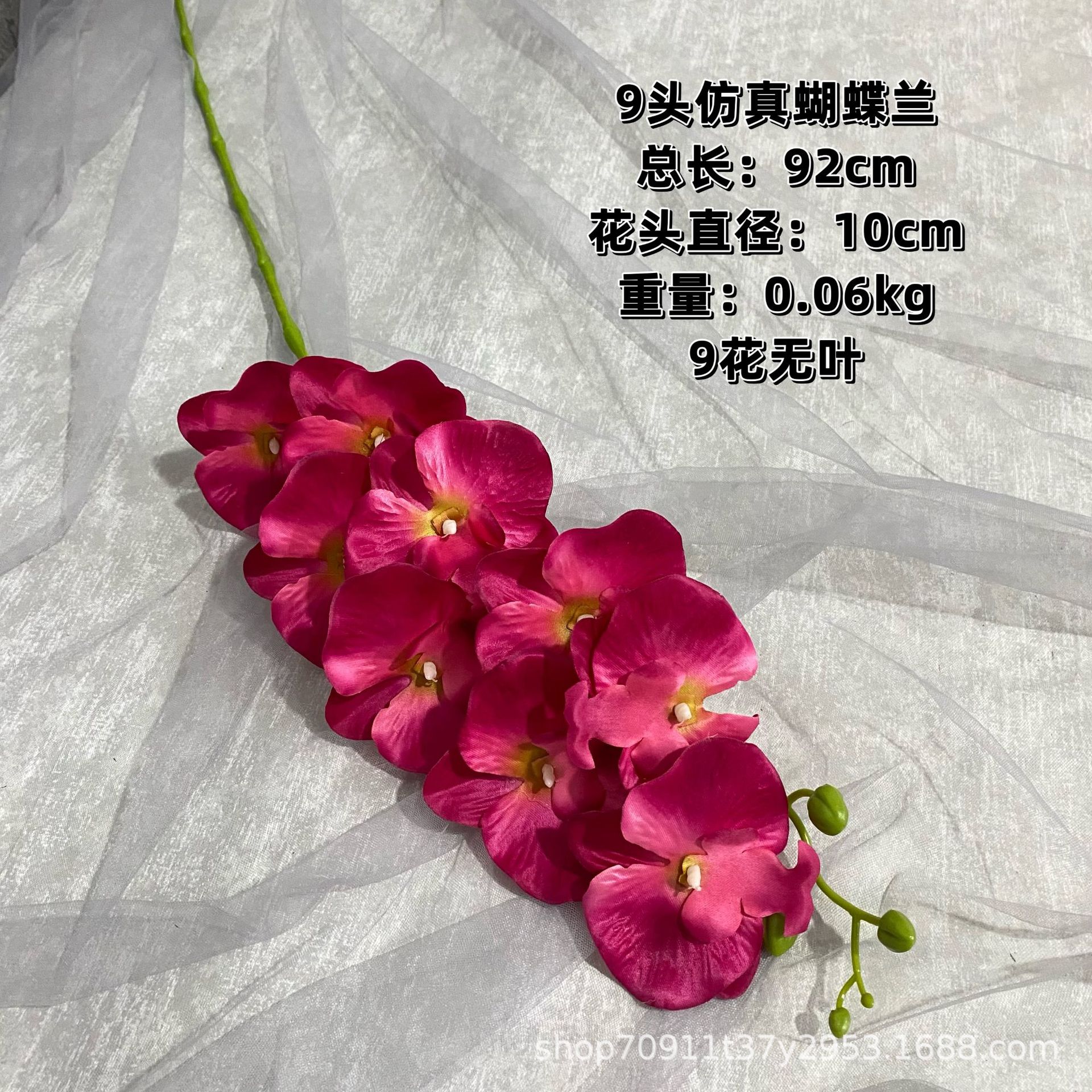 로즈 레드