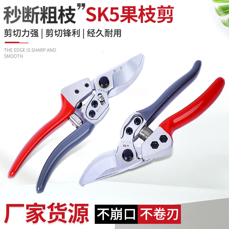 现货批发果枝剪 家用花艺修枝剪园林工具粗枝剪锋利省力SK5修枝剪