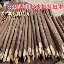 򱱾ӱF؛~ľlӵ򘶇ľ_˹~