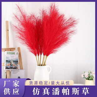 �羳����12������˹�ݲ�֦�Ҿ��b¾Gֲ�ٻ������w����JȔ��c