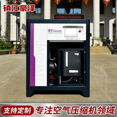 Hava kompressorları Xs30 Screw Air Compressor Permanent