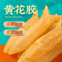 本物の黄花ゴムの魚の味の干物の卸売りの妊婦の滋補花ゴムの黄花の筒の乾燥花のゴムの100グラムから