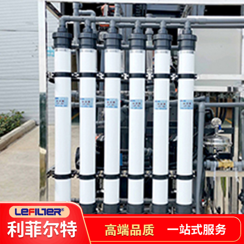 利菲尔特 RO反渗透设备 超纯水设备食品级涉水要求 双级反渗透