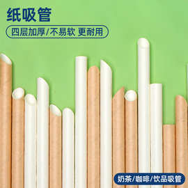 一次性吸管独立包装可降解饮料咖啡奶茶吸管粗细食品级纸吸管