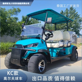 高尔夫球车;电动观光车