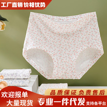 棉质高腰收腹碎花女士内裤大码7A抗菌裤裆高弹舒适透气三角裤包臀