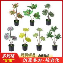 亚马逊仿真绿植芦荟多肉盆栽假花装饰室内盆景商场热带假植物盆栽