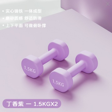 Dumbbelle mujer acondicionamiento físico equipo doméstico para niños y hombres combinación de hierro puro Dumbbelle entrenamiento braquial de la escuela primaria