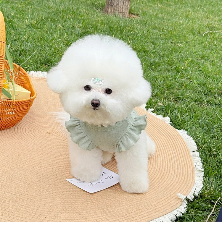 Vestido para cão estilo coreano roupa de princesa doce pet_voghion.com