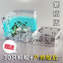 �׃��@Λρ���B��Λρ�Ǳ�Λρ�����^��̌WΛρ�������B��Ѩ�e��