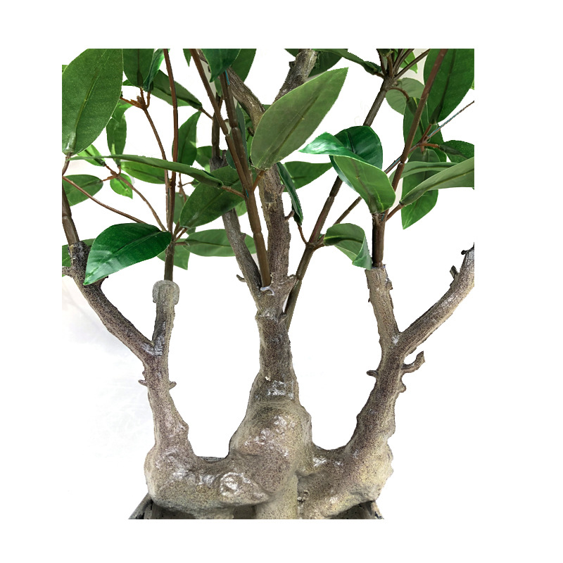 XRS-066 7#盆栽鹿角杜鹃叶 (2).jpg