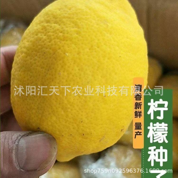 微信图片_20251223205636_1527_56