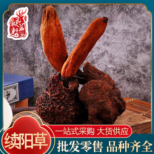 ���l������؛�mꖲ��|�������Iꖲ���ș��������ݲ��ݾ��σr��