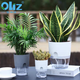 欧林泽塑料花盆家用自吸水懒人花盆简约透明双层花盆多肉花盆小盆