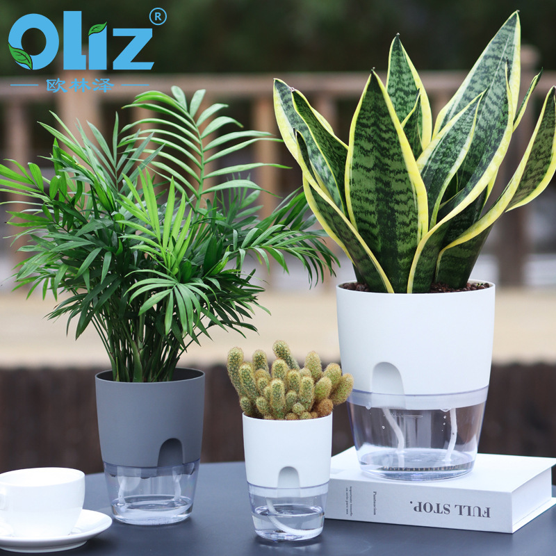 Olinze Plastic Flower Pot Household Self-Absorbing Lazy Flower Pot Simple Transparent Double-Layer Flower Pot Succulent Flower Pot Small Pot