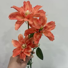 С�������Ļ���Y���żҾ��b廨�zӰ��c���ߔ[�����컨�ٻ�
