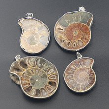 50-30x12-6mm��Ȼ�߲ʺ��ݱ걾���߱��ǵ�׹�羳��Ʒ�������