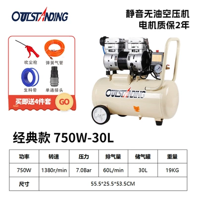 pump painting air compressor — Hava kompressorları - 750w-30l-m-white-copper