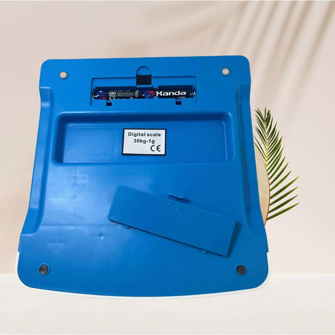 微信图片_20231208144906