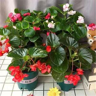 �ļ������r�������҃�ͥԺ�ļ������_�������ﺣ�Ĳ����䎧��