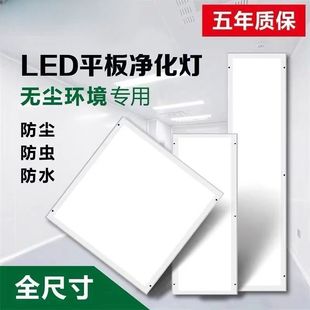 Leishi Ji 30X120 Led Clean Light Led Panel Purification Light 300X1200 Dust-Free Workshop Operating Room Hospital