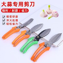 ��������[���^���������^�������r�ü����ؿ���ĥ��