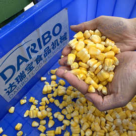 l全自动玉米种子脱粒机价格 幼米仁掰粒机 台湾鲜玉米脱粒机商用