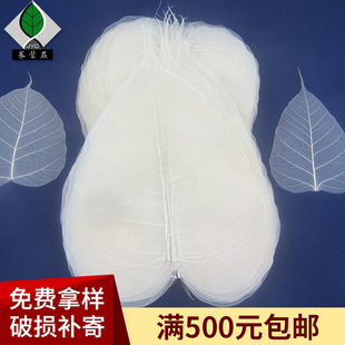 25cm Leaf Vein Bookmark Material Bodhi Leaf Vein Embossed Decorative Material Thousand-Eyed Bodhi Leaf Vein Dried Flower Embossed