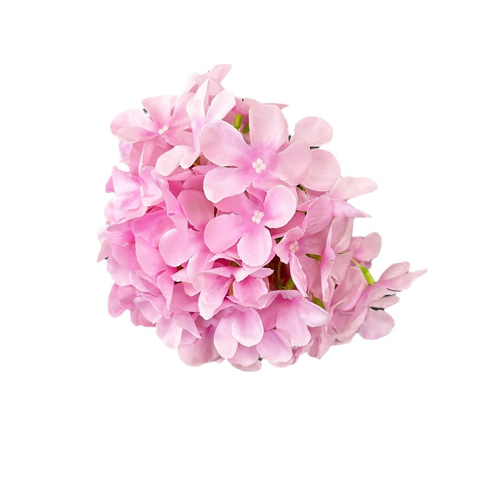 Glipper hydrangea flower Korean large hydrangea flower single…