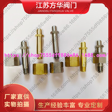 ��ƿ�ƿ�D���^W21.8�������z��ĸ�DNPT1/4�p�����M���B�ӿ��ݗU