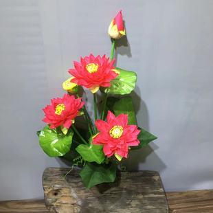 ����ɻ�˯ɏ���S���l��c���ݷ��R�����Ӱ�����zӰ���߰Ѻɻ�