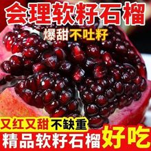 正宗会理突尼斯软籽石榴四川新鲜水果10特大果斤爆甜