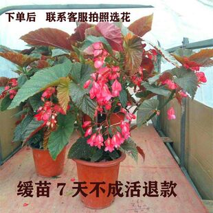 �񹝺��Ļ����԰��]���~���c�ļ����~���ﺣ�Ļ��ܾGֲ���҃Ȼ�