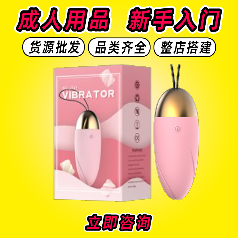 Huevo Vibrador para Mujer de Silicona y ABS con 10 Frecuencias Silencioso para Adultos