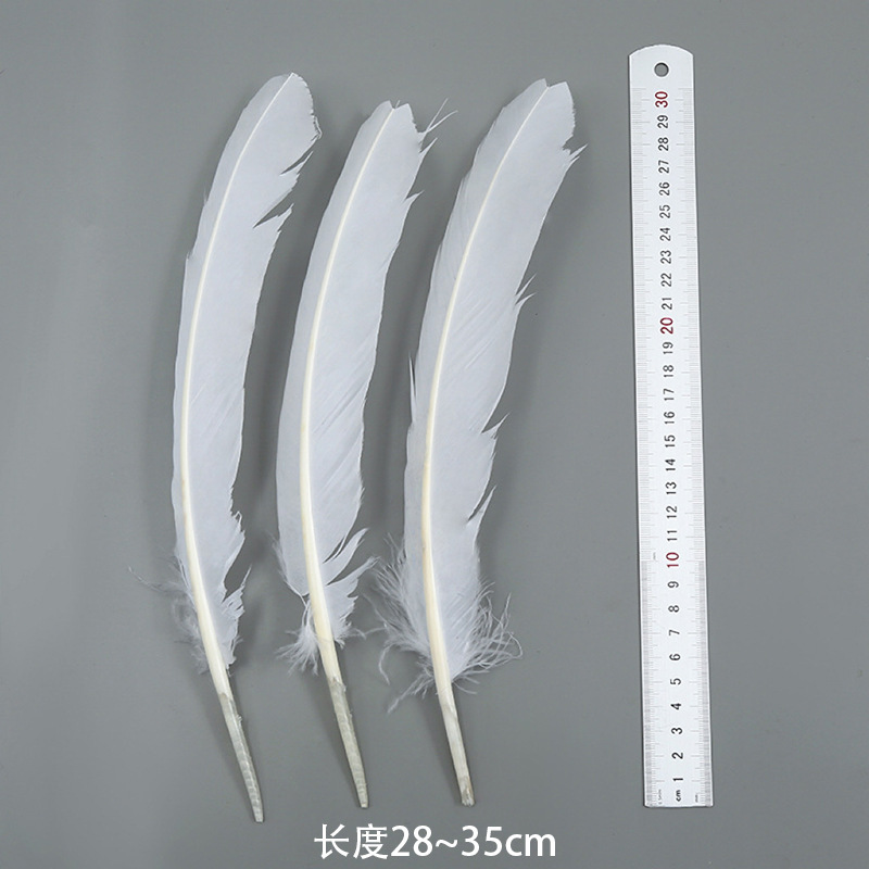 칠면조 둥지 깃털(100의 배수로 주문)