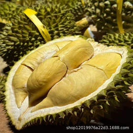 番薯类;柑桔;苹果