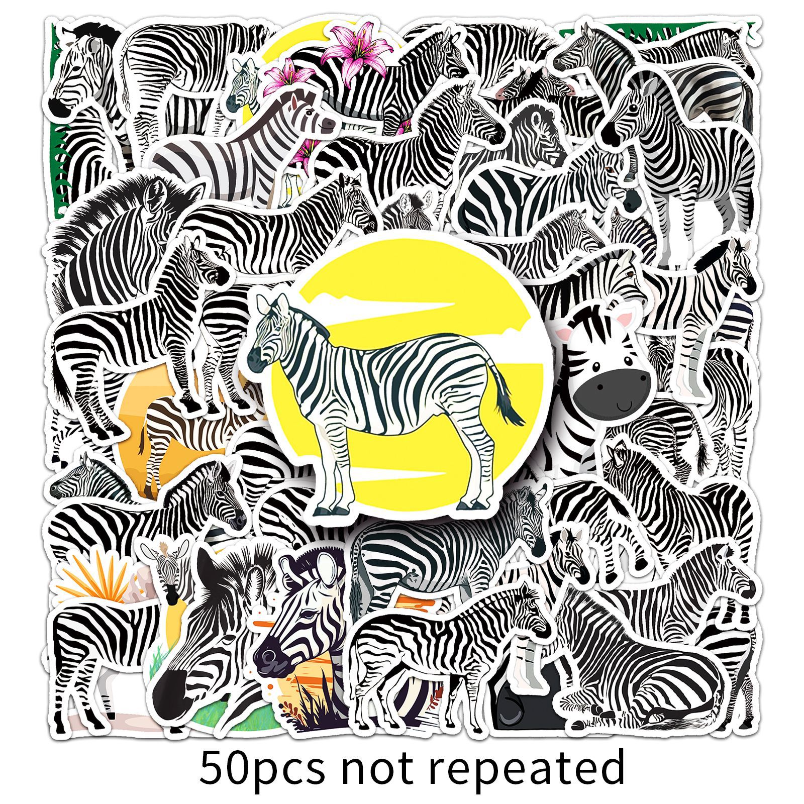 50 Zebra-795