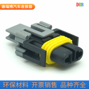 2p automotive connector 12124819 wiring harness connector plug waterproof terminal male and female sheath 12124817