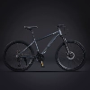 H6-light gray-aluminum alloy frame-spoked wheels
